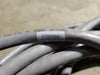 ALPHA WIRE Multi-Pair Cable 22 AWG 19PR Conductor 300V