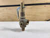 APOLLO 1/2" x 3/4" Safety Relief Valve 19MDCA165