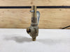 APOLLO 1/2" x 3/4" Safety Relief Valve 19MDCA165
