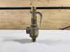 APOLLO 1/2" x 3/4" Safety Relief Valve 19MDCA165