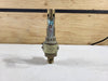 APOLLO 1/2" x 3/4" Safety Relief Valve 19MDCA165