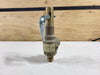 APOLLO 1/2" x 3/4" Safety Relief Valve 19MDCA165