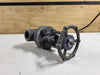 BONNEY FORGE 1" Class 800 Gate Valve B16.34