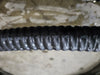GENERAL CABLE Teck Cable TECK90 3 AWG 3 Conductor 1000V w/ Ground