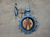 DEZURIK Scrap - 14" Class 150 Butterfly Valve