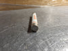 FERRAZ SHAWMUT Scrap - 1/2E Amp Potential Transformer Fuse A480T1/2E