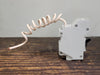 FEDERAL PIONEER 30 Amp, 1 Pole, 120 Volts Circuit Breaker NAGF30