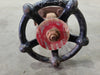 ILSHIN Scrap - 3/4" Class 800 Globe Valve B16.34