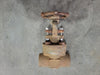 BONNEY FORGE 1" Class 800 Gate Valve B16.34