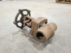 ILSHIN Scrap - 3/4" Class 800 Gate Valve B16.34