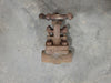 ILSHIN Scrap - 3/4" Class 800 Gate Valve B16.34