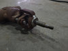 OMB Scrap - 1-1/4" Class 800 Gate Valve (w/o Handle)
