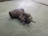 OMB Scrap - 1" Class 800 Gate Valve (w/o Handle)