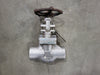 Scrap - 2" Class 800 Globe Valve B16.34