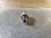 GEMS SENSORS Scrap - 2200BGB101PA3UA Pressure Transducer 562714