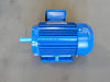 AMEG 1.5 hp, 575 volts, 1720 rpm, 145T Electric Motor AG001504