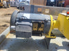 Skid-Mounted Duplex Chemical Transfer Pump Package with (2) Baldor 3/4 HP Explosion-Proof Motors & Stainless Steel Process Piping