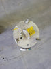 PARKER Stainless Steel Filter Housing 2" Flanged 4LFE6-1-2F-U