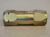 BRUNING DECCTO Free Flow Inline Check Valve Female Threaded