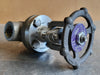 BONNEY FORGE 3/4in. Class 800 Gate Valve HL-104, API602