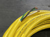 WOODHEAD Molex 20ft 16/3 AWG PVC Cord w/ 3 Pin Female Plug 1300060242