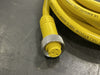 WOODHEAD Molex 20ft 16/3 AWG PVC Cord w/ 3 Pin Female Plug 1300060242