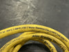 ALLEN-BRADLEY 5' Inductive Proximity Sensor 871TM-BH5N18-H2 M18 Series