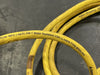 ALLEN-BRADLEY 4' Proximity Switch Sensor 871TM-BH5N18-H2 M18 Series 