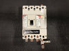 FEDERAL PIONEER Molded Case Switch CJL4250NA