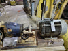GOULDS 4X6-14 Paper Stock/Process Pump 3175 w/ 40 hp Motor