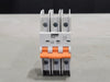 PHOENIX CONTACT 35 Amp, 3 Pole, 240 volts Circuit Breaker 1010303 (Box of 4)