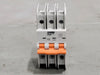 PHOENIX CONTACT 35 Amp, 3 Pole, 240 volts Circuit Breaker 1010303