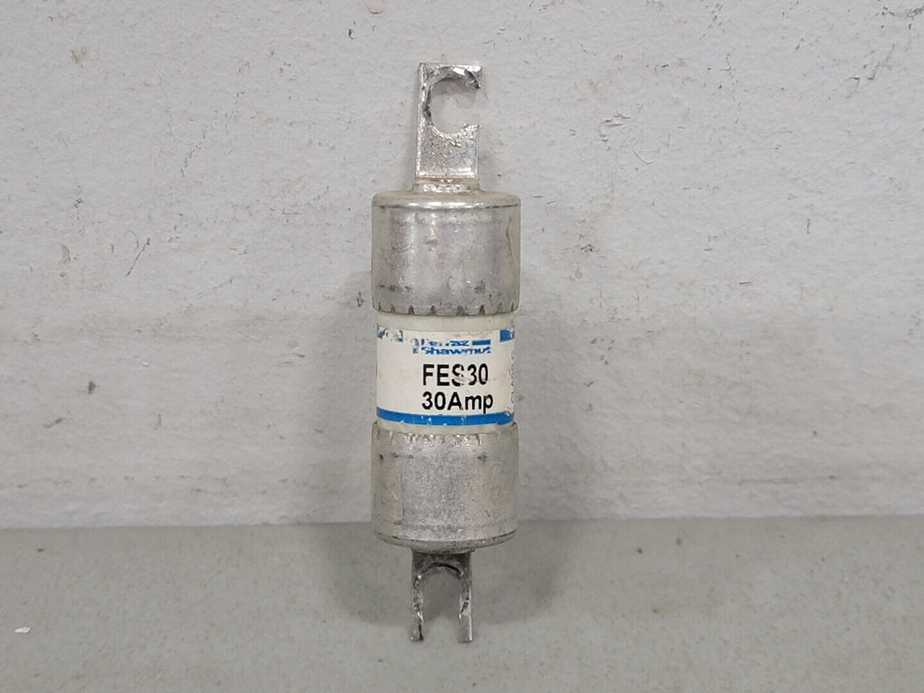 FERRAZ SHAWMUT 30 Amp Class C Fuse FES30 (Bag of 169)