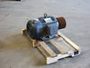 LEESON 15 hp, 230/460 volts, 1765 rpm, 254T, Electric Motor G150066.00, N254T17FB13