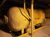Heat Exchanger