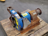 HAYWARD GORDON 103.65:1 Ratio Gear Reducer R63LP43 w/ Hose Pump SP25N 