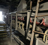 Rod Mill Feed Bin Conveyor from crusher building to ore bin - 1,312 ft x 30 in.