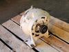 VIKING PUMP Helical Offset Gear Reducer 2.21:1 Ratio, 3-551-056-221