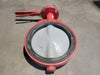 BRAY 10" Butterfly Valve