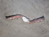 CATERPILLAR Aftercooler Hose 486-8459