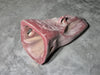 MTG STARMET Bucket Tooth MA500EX