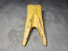 Twin Tiger Bucket Tooth