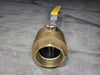 BII 4", 400 WOG, 150 WSP, Ball Valve 119NPT