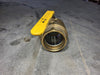BII 4", 400 WOG, 150 WSP, Ball Valve 119NPT