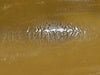 CATERPILLAR 101.6mm Bore Diameter Hydraulic Ripper Cylinder 113-7754 