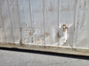 40 ft Non-Working Refrigerated Shipping Container - TRLU1666745