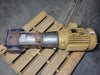GOULDS 15 hp e-SV Series Vertical Multi-Stage Pump 33SV30GD30