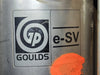 GOULDS 15 hp e-SV Series Vertical Multi-Stage Pump 33SV30GD30
