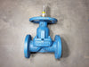 ITT 1 1/2" Dia-Flo Weir Diaphragm Valve