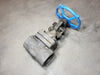VELAN 2" Class 800 Gate Valve W-2054B-02TY